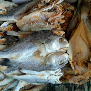 Ikan Masin Gelama Belah (from Tawau)