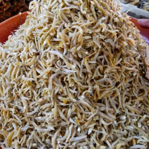 IKAN BILIS MATA BIRU (Grade B)