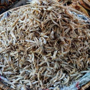 Ikan Bilis Belah (GRED B)