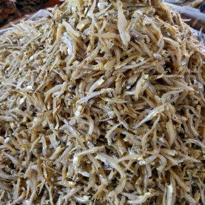 Ikan Bilis Belum Belah (Grade B)