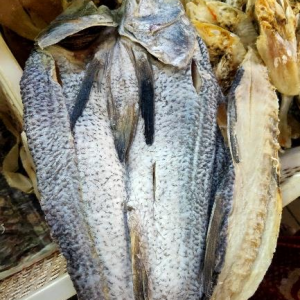 Ikan Masin Kurau