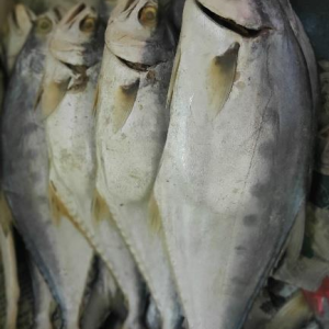Ikan Masin Talang Jeruk