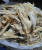 Ikan Masin Keropok