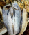 Ikan Masin Kurau