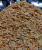 Udang Kering (From TAWAU) Grade A